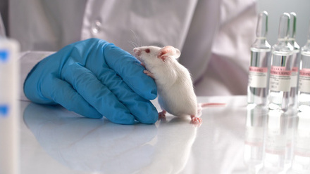 Lab_Mouse_260601_iStock.jpg