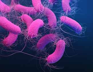 Real-world evidence from EHR supports antimicrobial resistance fight
