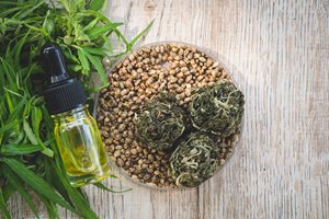 Global regulatory trends in CBD use in food and food supplements