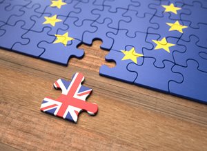 The impact of Brexit on food supplements and specialized food products