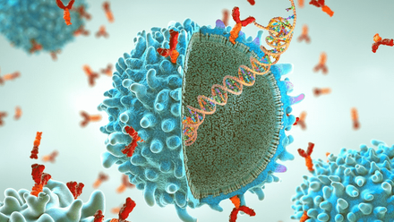 webimage-chimeric_antigen_receptor_cell_240130_istock.png