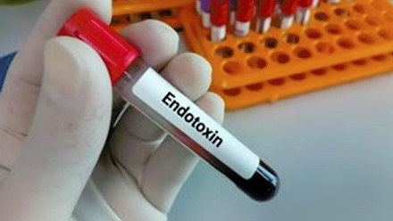 endotoxin_blood-sample_limulus-amebocyte-lysate.jpg