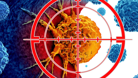 webimage-cancer_lung_target_cell_20251209.png