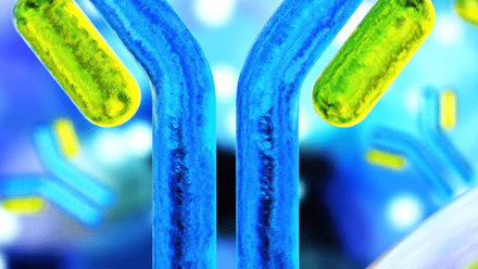 webimage-immunogenecity_cr-ustas7777777_20250708.png