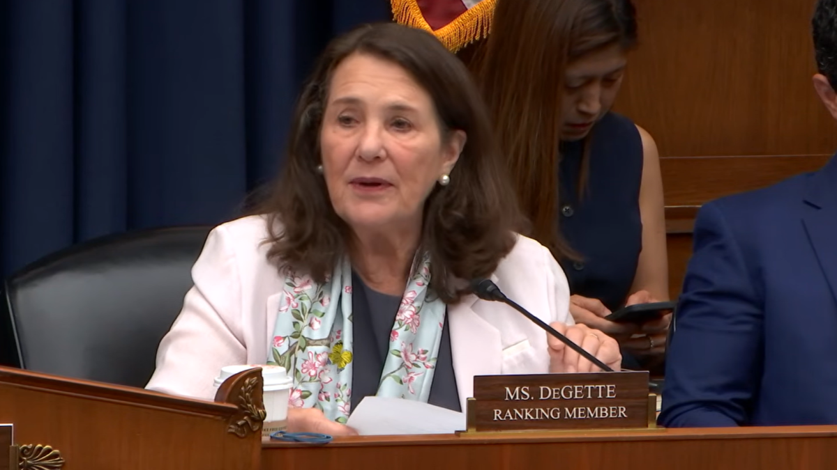 DeGette_Diana_260715_YouTube.png