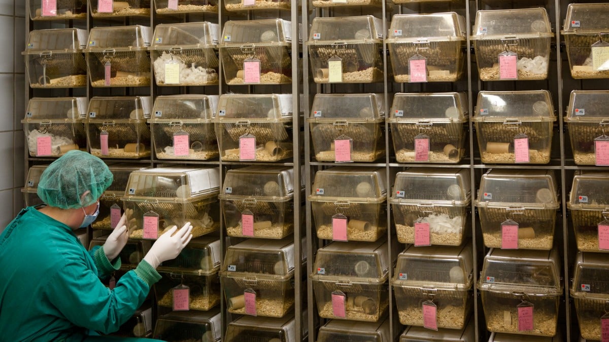 FDA to remove ‘animal testing' terminology from its regulations