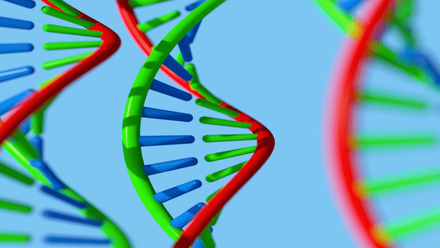 webimage-cell-and-gene_helix_credit-tolga_tezcan_20250819.png