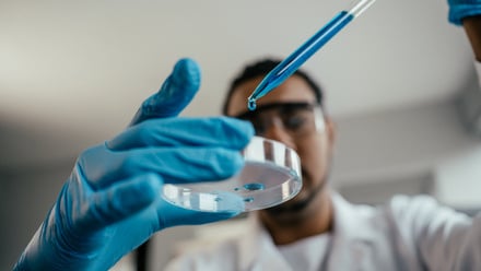 drug development_scientist_petrie dish_pippette_credit Drs Producoes_ORIG_20260501.jpg