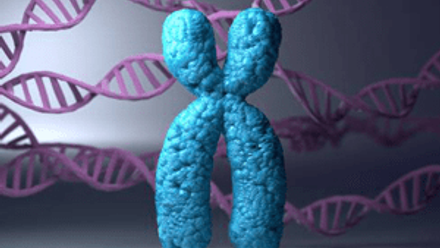 webimage-gene-therapy-graphic.png